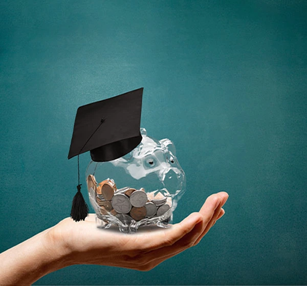 Study In New Zealand